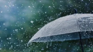 طقس الغد في القاهرة والمحافظات: أمطار متوسطة إلى غزيرة وانخفاض واضح في درجات الحرارة